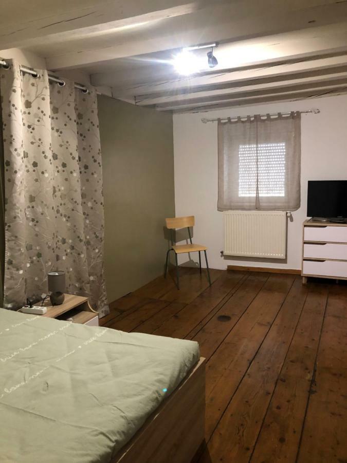 Spacieux Appartement 2/6 Pers 110M² Proche Cnpe Lagnieu Esterno foto