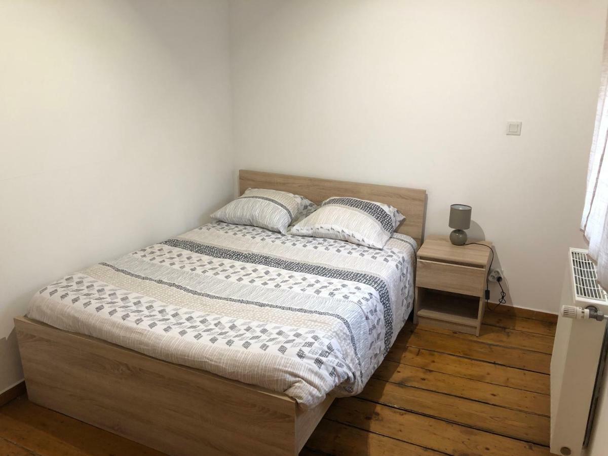 Spacieux Appartement 2/6 Pers 110M² Proche Cnpe Lagnieu Esterno foto
